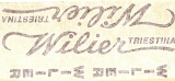 ADESIVI WILIER TRIESTINA