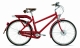 Italwin -bici elettrica a pedalata assistita DUCATI modello CUCCIOLO con batteria al litio-GAMMA CLASSICA (chiamateci al n°085 4216419 per verificare la disponibilità del modello in negozio)