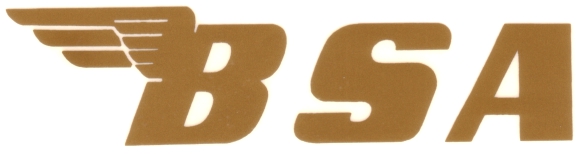 BS04 ADESIVO BSA color oro mm 145 x 35 BS04 ADESIVO BSA color oro mm 145 x 35