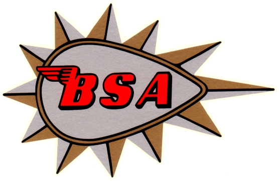 BS09 ADESIVO BSA DX E SX mm 140 x 90 BS09 ADESIVO BSA DX E SX mm 140 x 90
