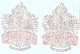 OP02 ADESIVO OLYMPIA