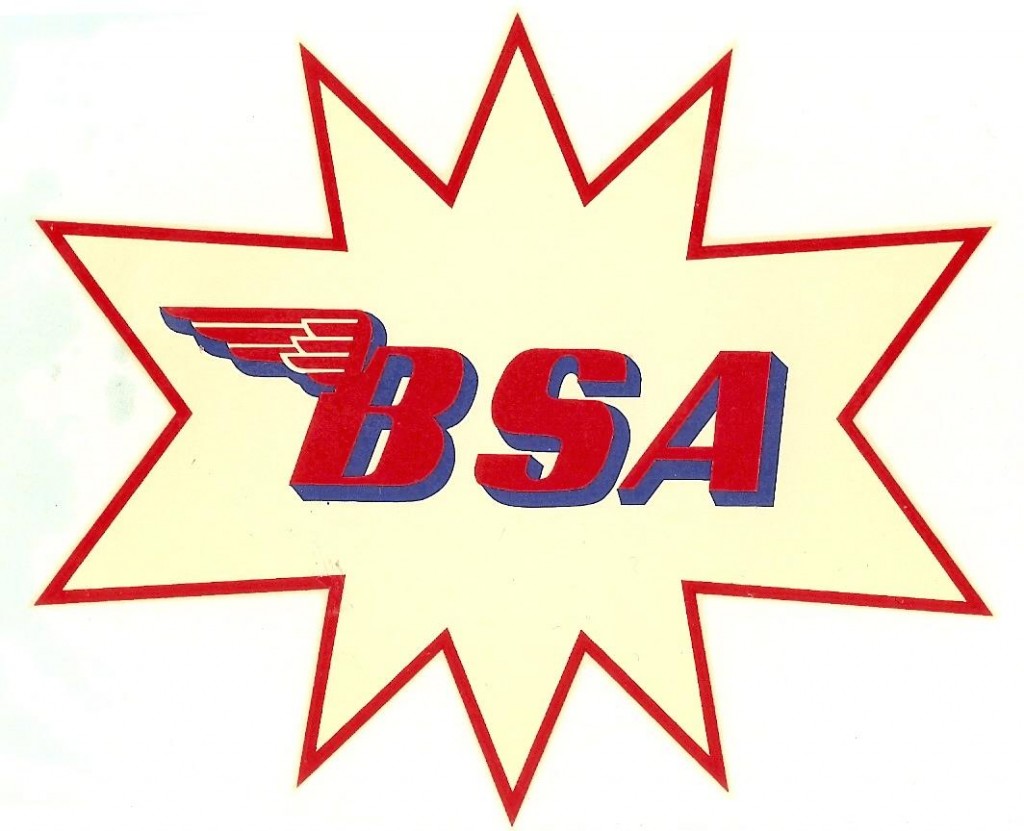 BS24 ADESIVO BSA