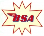 BS24 ADESIVO BSA