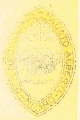 SE 03 ADESIVO SERTUM-canotto periodo anteguerra 40x75