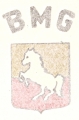 BMG ADESIVO BMG