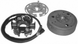 P431081100 DUCATI ENERGIA VOLANO MOT.MINARELLI Info tecniche 6 bobine 90W Diam.103mm 4 Faston Principali applicazioni Minarelli