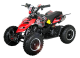 REPTY MiniQuad 49 cc