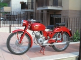 Art. CAB 036 Benelli Leoncino
