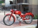 Art. CAB 036 Benelli Leoncino