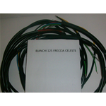 IMPIANTO ELETTRICO BIANCHI 125 FRECCIA CELESTE IMPIANTO ELETTRICO BIANCHI 125 FRECCIA CELESTE