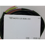 IMPIANTO ELETTRICO ISO MOTO 125 BOBINA ESTERNA IMPIANTO ELETTRICO ISO MOTO 125 BOBINA ESTERNA